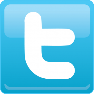 TwitterIcon