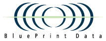 it voice BluePrint Data