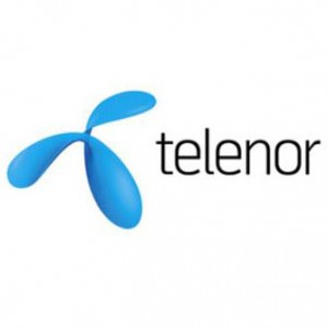 it voice Telenor Connexion logo