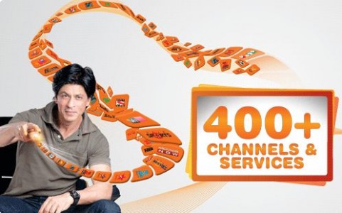 DishOnline-481x300