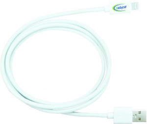 CA-ULC1
