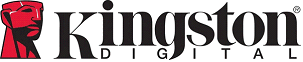 Kingston_MicroDual
