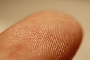 fingerprint scanner phone