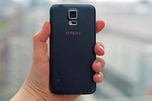 s5-back-1