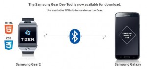 samsung tizen developer prize