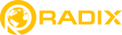 Radix Yellow Colour logo