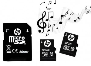 PNY_HP TF C10_It Voice