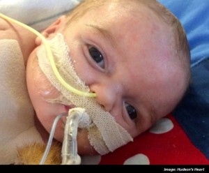 facebook hudson heart