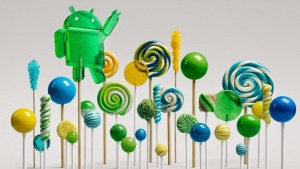 Lollipop-Forest-618x348