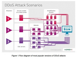 Flow diagram of most popular versions of DDoS attacks