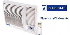 bluestar_bjan