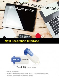 PNY TypeC_UC101