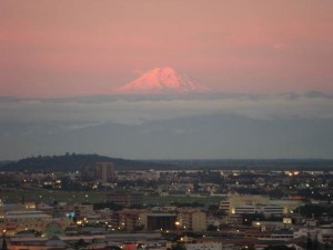 image001 (49)