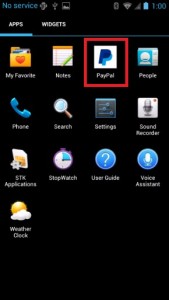 Pay Pal APP