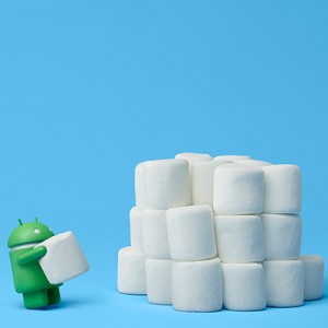 marshmellow