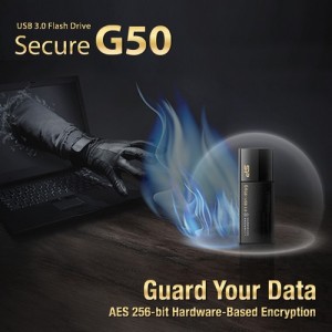 Guard Your Data_ Silicon