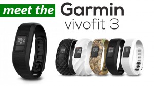 germin-vivo-3
