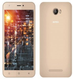 intex