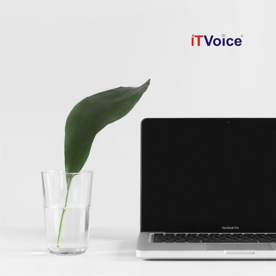 Sustainable IT leads to significant benefits but is currently still not a focus for most organizations