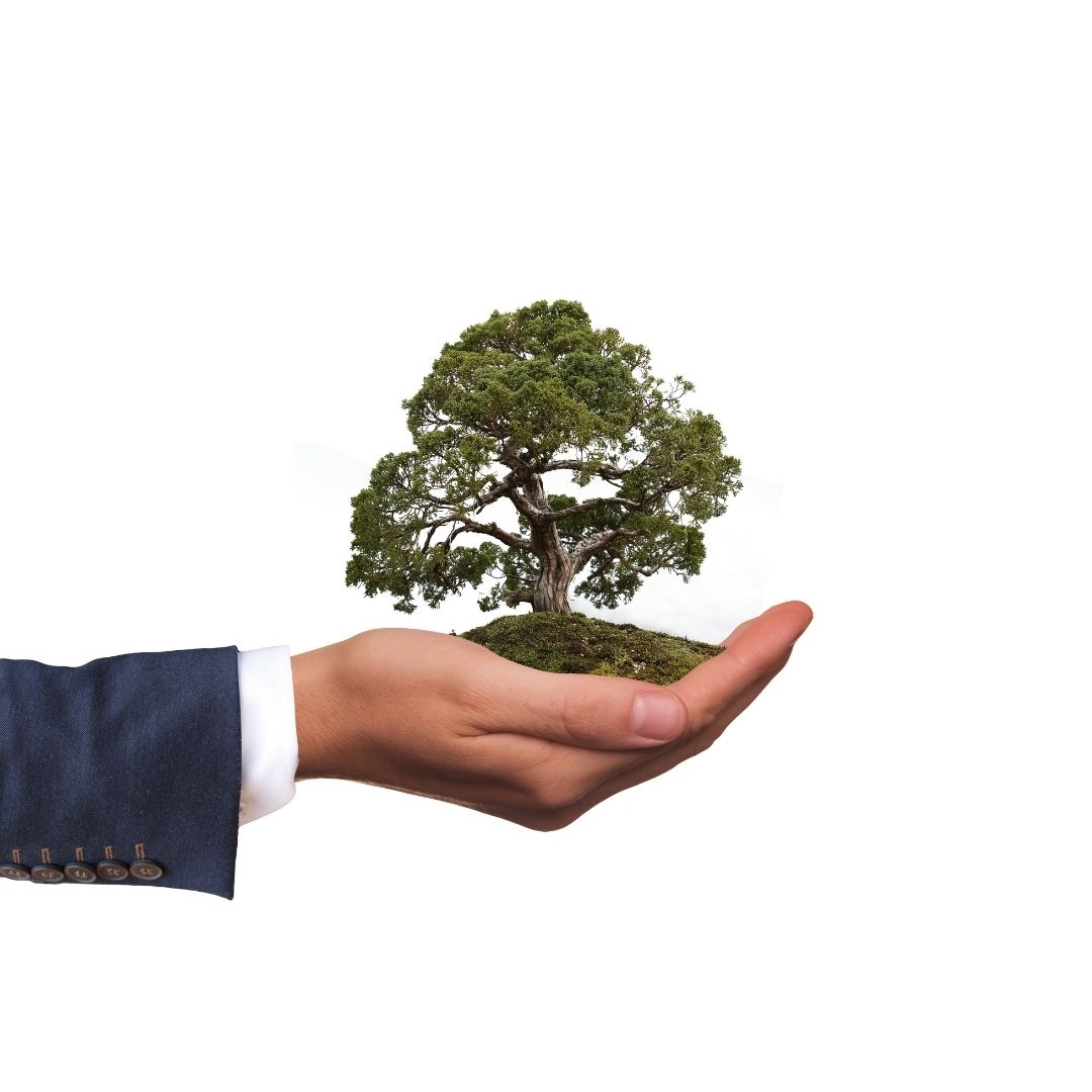 5 ways how technology adoption can help develop greener business practices