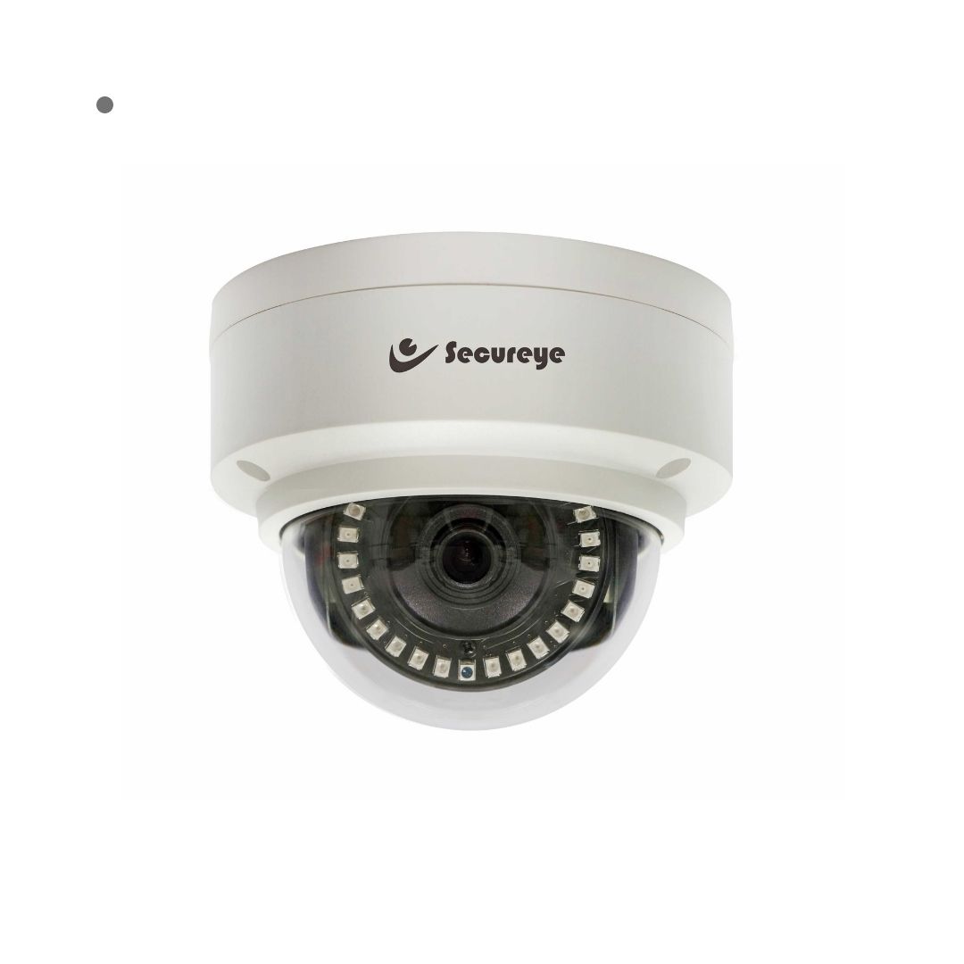 S-IP-D2-VP-A Vandal Proof Camera by Secureye