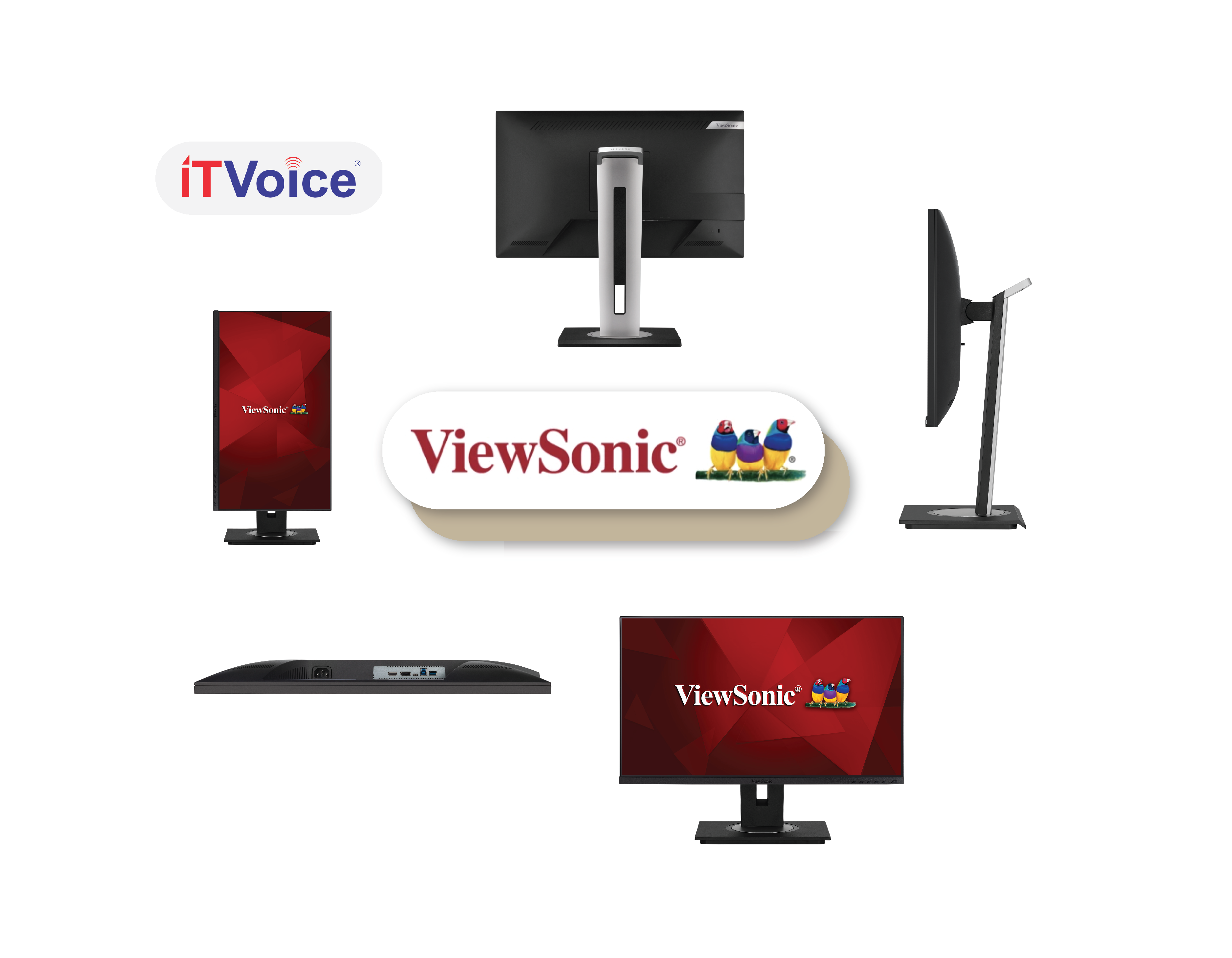 Providing a Single Cable Solution, ViewSonic introduces Business Monitor in India