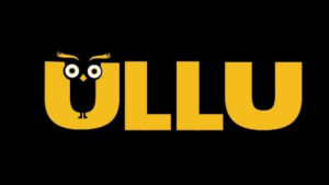 Ullu, an OTT platform, faces scrutiny for offering explicit content; MeitY urged to intervene